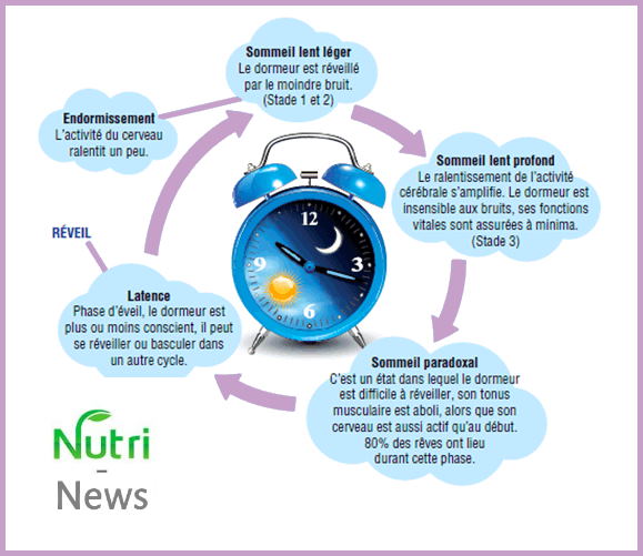 nutri-news